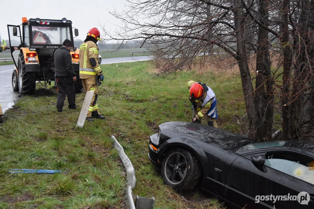 Mustang wpadł do stawu. Straż pożarna z Gostynia w akcji