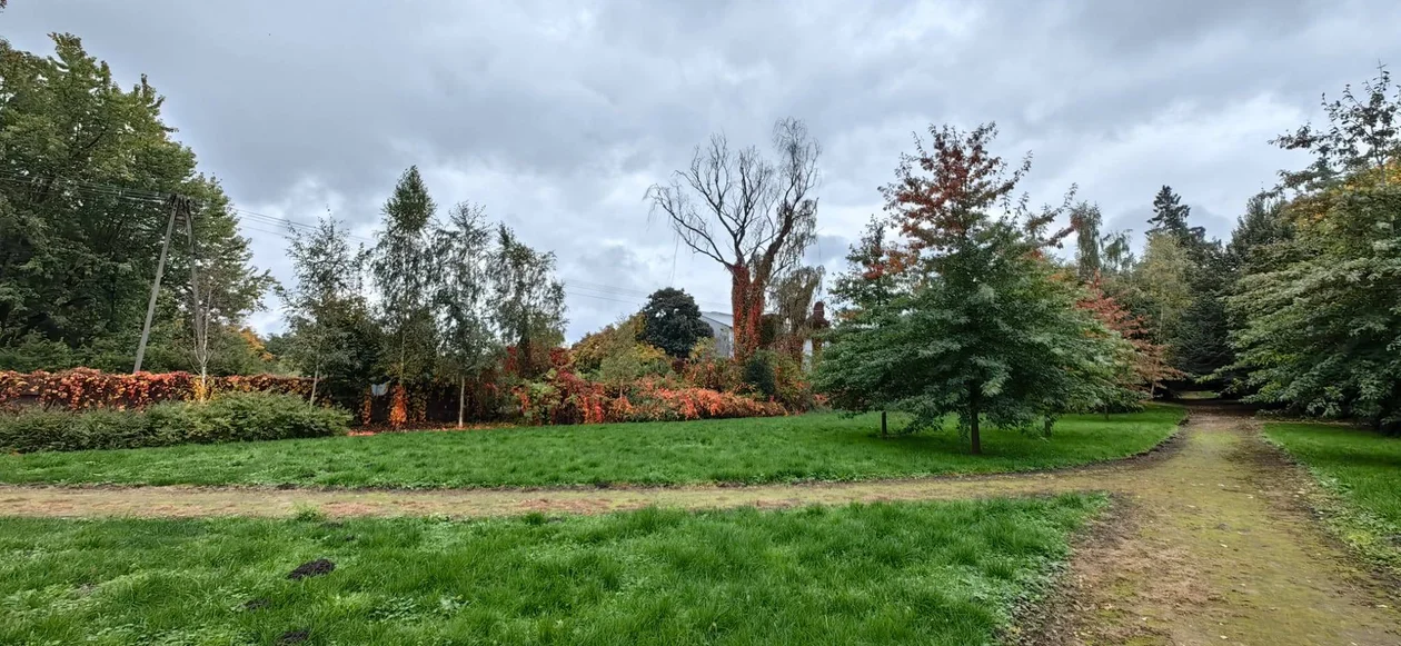 Park w Klęce to prawdziwa perełka. Warto zajrzeć tam właśnie teraz