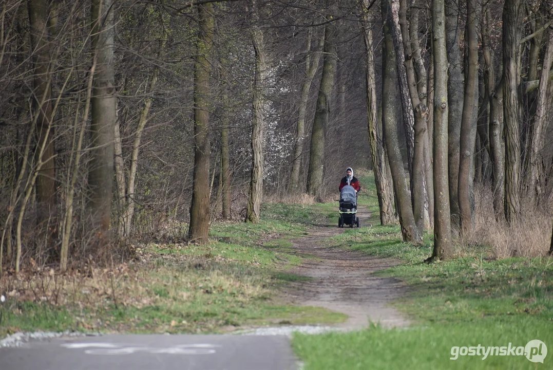 Budowa ścieżki pieszo-rowerowej Piaski-Gostyń