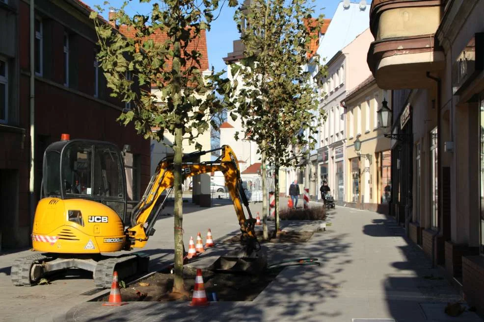 Nasadzenie zieleni w centrum Jarocina