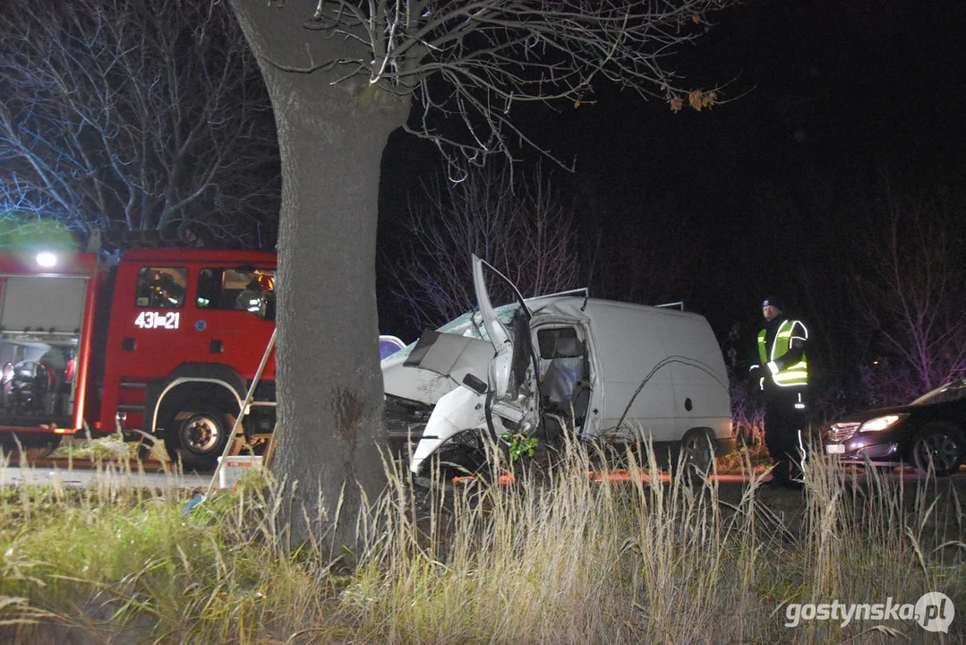 Czołówka z drzewem. Wypadek w Grodzisku (gm. Poniec)