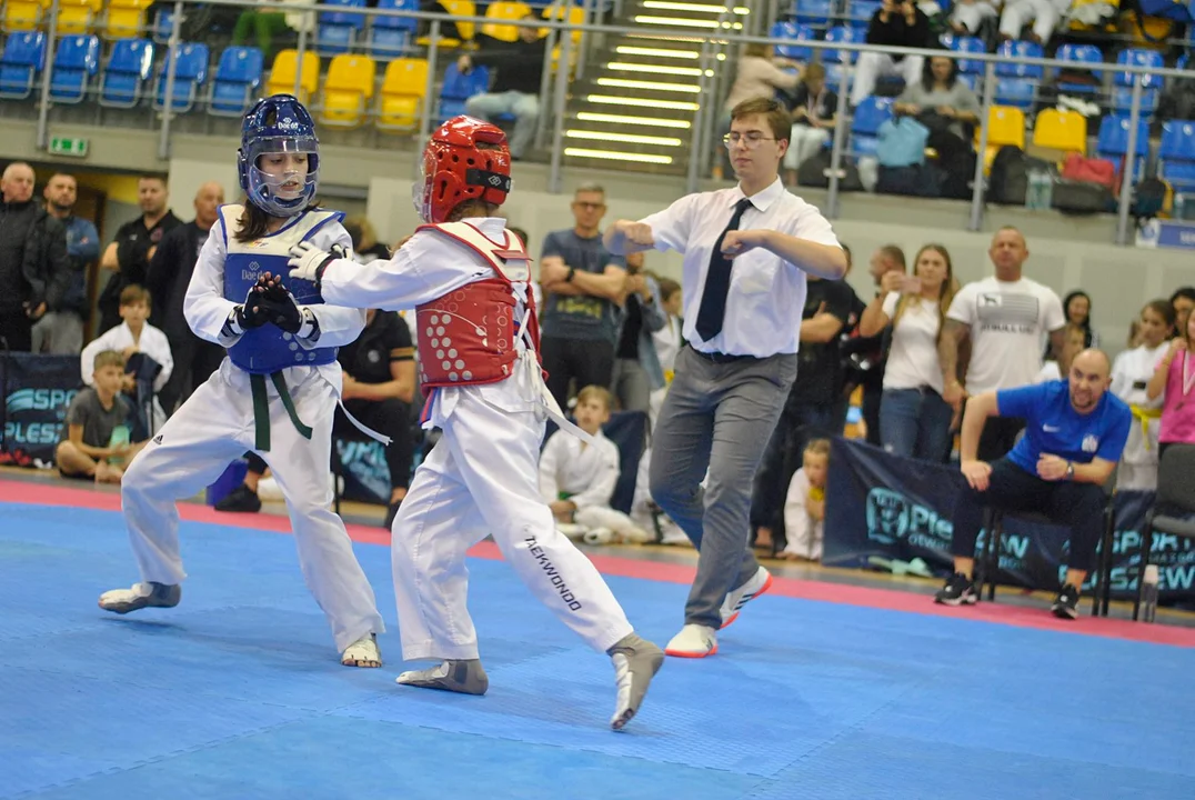 Pleszew gościł uczestników Ligi Taekwondo Wesołek - Zdjęcie główne