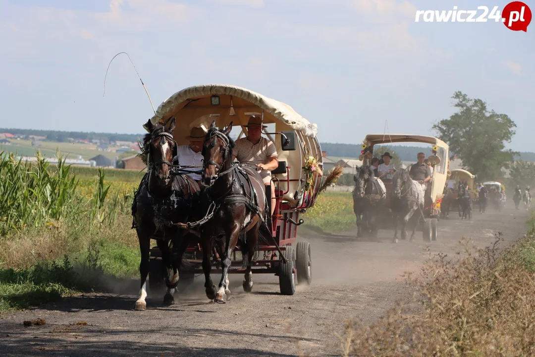 Rajd Konny Śladami Rodziny Czartoryskich