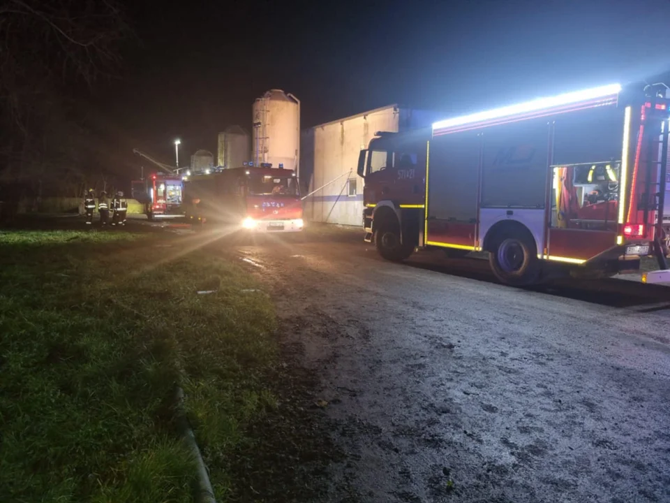 Pożar chlewni w Kołaczkowicach. Strażacy w akcji - Zdjęcie główne