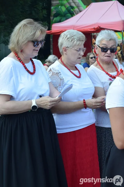 Dożynki wiejsko-parafialne w Pudliszkach 2025