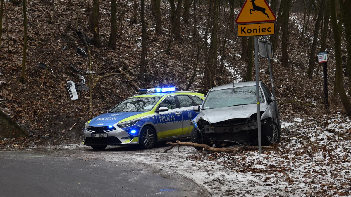 Ford uderzył w nasyp kolejowy i tam "się zawiesił"