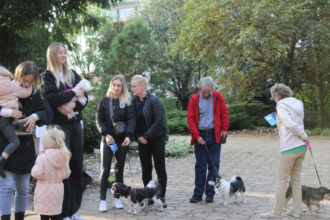 U franciszkanów w Jarocinie z okazji odpustu błogosławiono zwierzęta