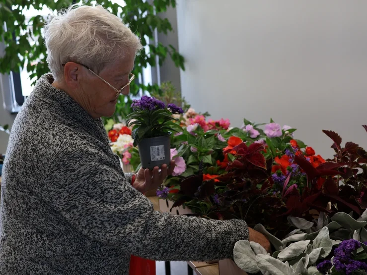 Plantcrossing w bibliotece w Pleszewie