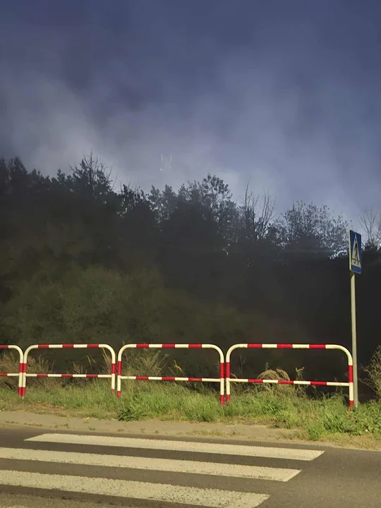 Pożar odpadów w Jarocinie na terenie WCR