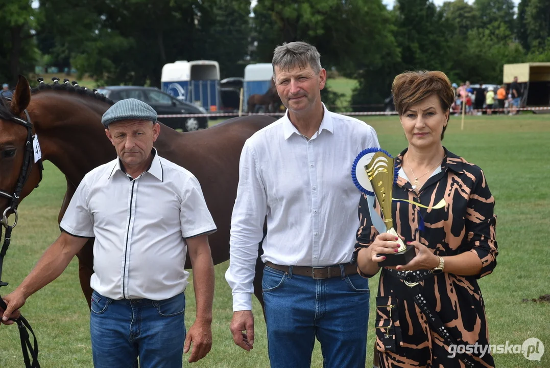 Regionalna wystawa koni hodowlanych w Pępowie