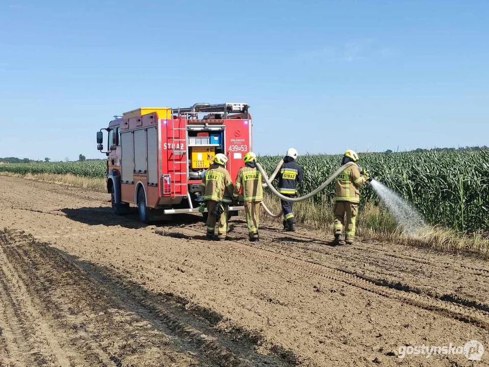 Pożar pola w Drzewcach