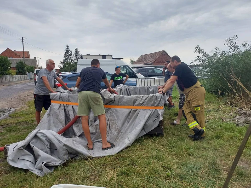 Rewitalizacja stawów w Strzelcach Wielkich i Strzelcach Małych