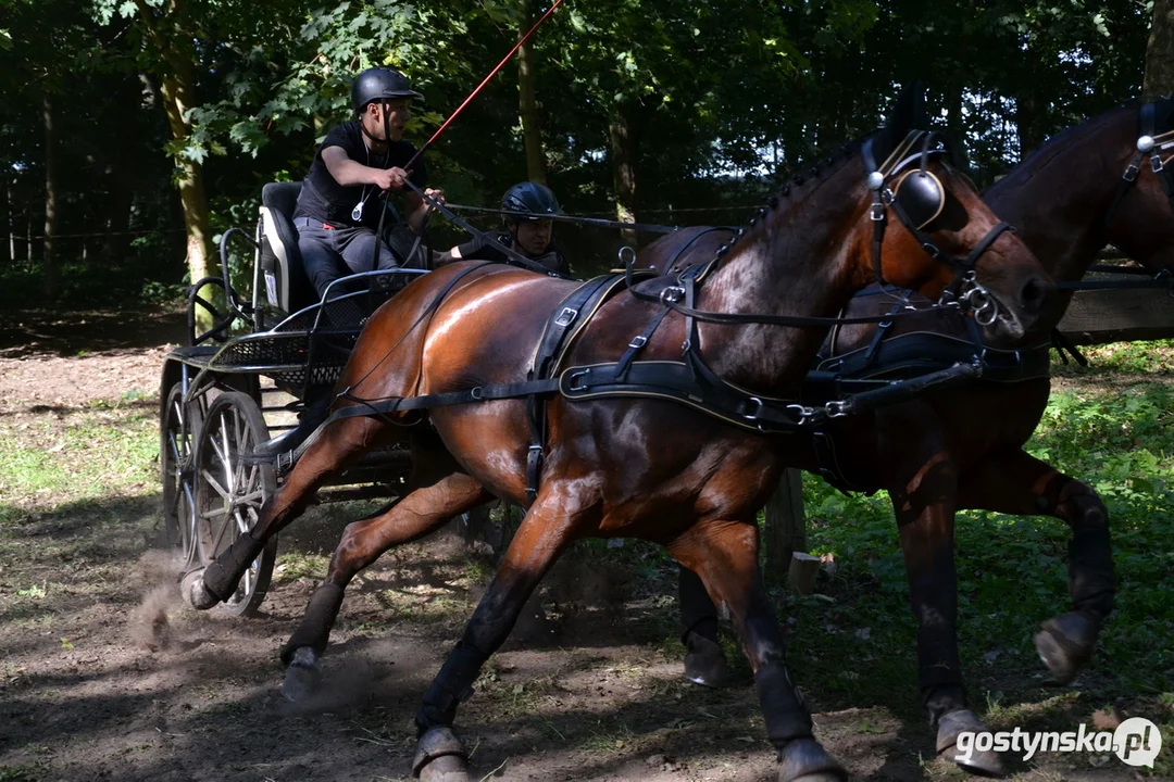 Rokosowo Horse Show 20224 - Konie i Powozy na Zamku Wielkopolskim w Rokosowie