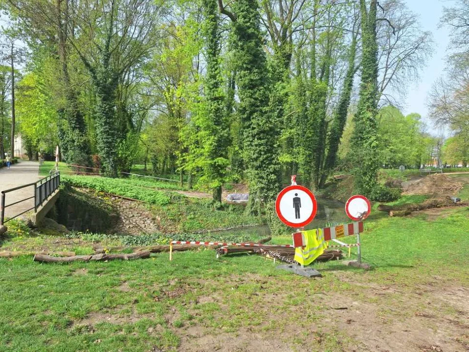 Budowa kładek w parku Radolińskich w Jarocinie