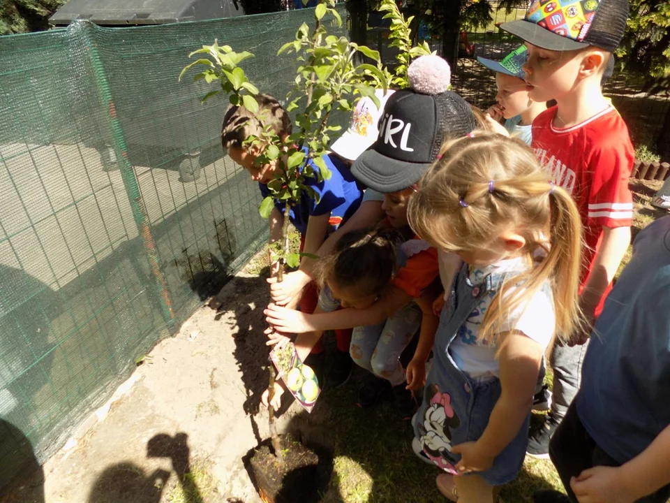 Dzień Niezapominajki w Publicznym Przedszkolu nr 3 "Słoneczne" w Pleszewie