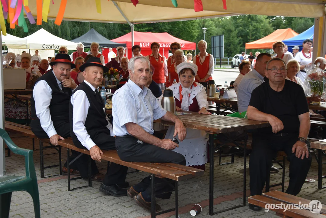 18. Prezentacje Zespołów Ludowych Wielkopolski w Borku Wlkp.