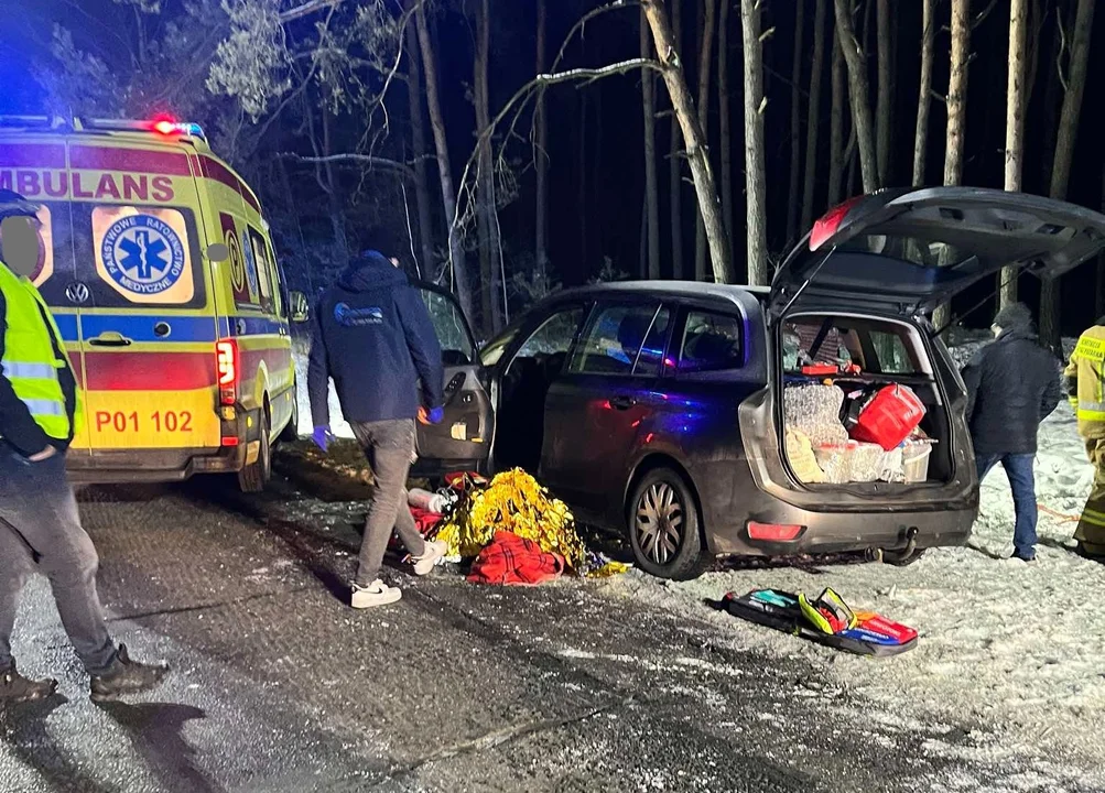 Auto zderzyło się z łanią na drodze wojewódzkiej nr 443 w Białobłotach [ZDJĘCIA] - Zdjęcie główne