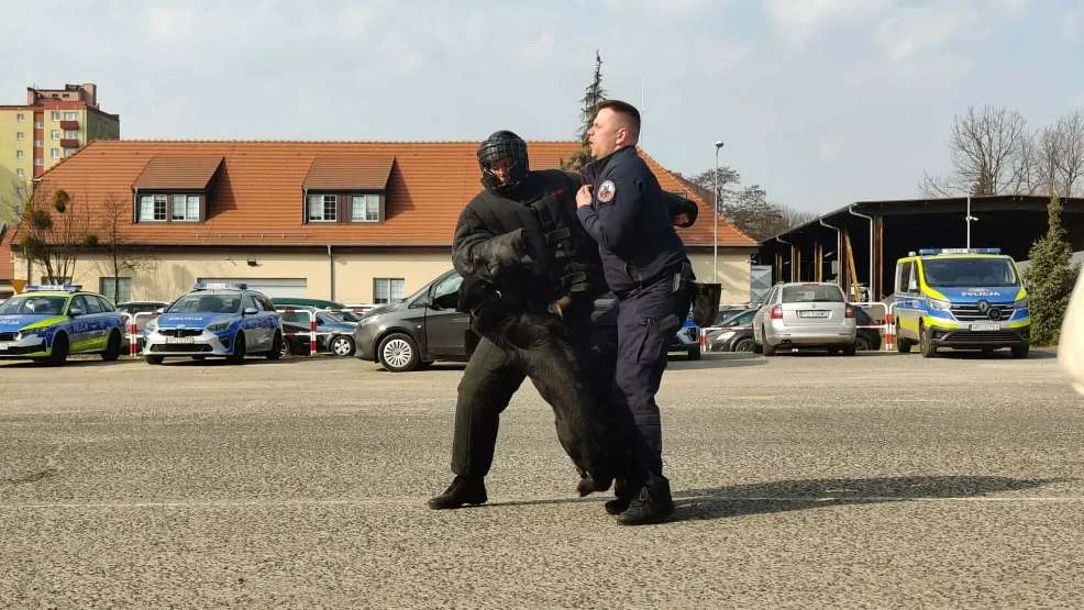 Uczniowie liceum z przysposobieniem policyjno-prawnym ZSP nr 2 w Jarocinie na zajęciach w Poznaniu