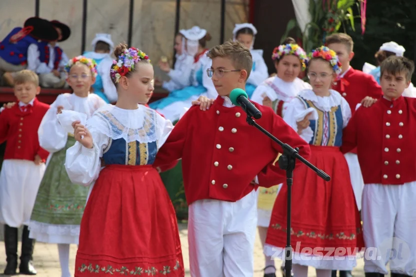 Kolorowe dożynki w Lenartowicach