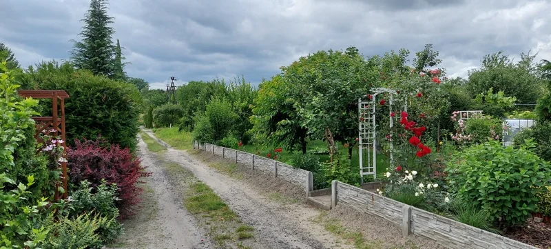 Co z ogródkami działkowymi w Jarocinie? Jakie plany ma miasto? Co się zmieni w terenach zielonych?