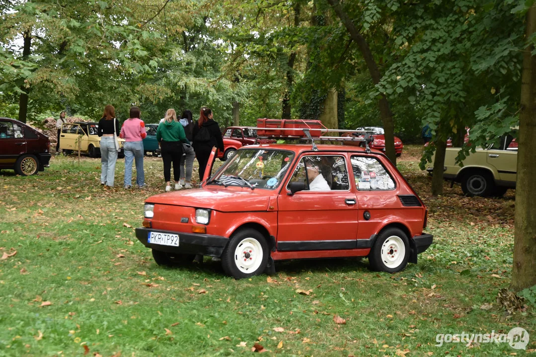 Zlot samochodów retro w Zamku Wielkopolskim w Rokosowie