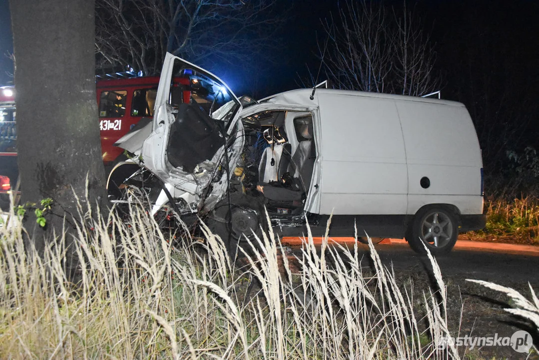 Czołówka z drzewem. Wypadek w Grodzisku (gm. Poniec)