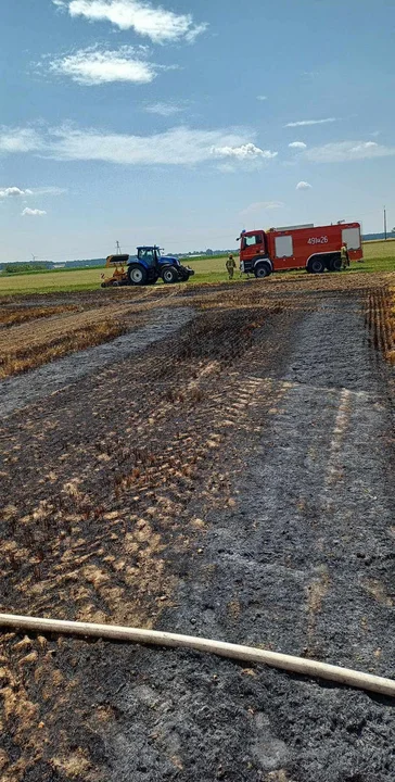 Pożar zboża na Głogówku i innych miejscowościach powiatu gostyńskiego