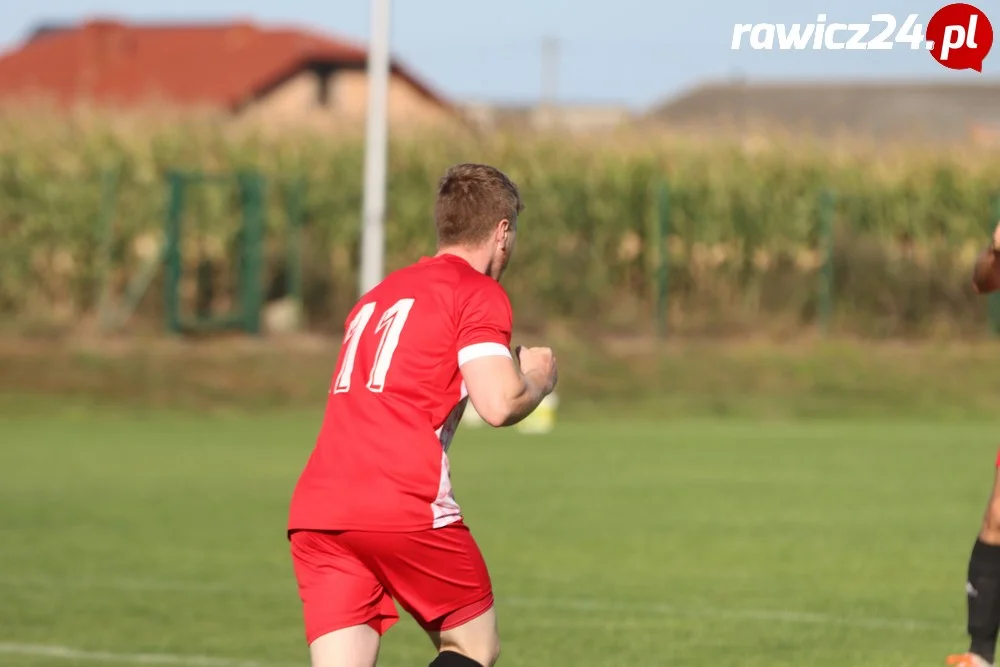 Awdaniec Pakosław - Wisła Borek Wielkopolski 2:5