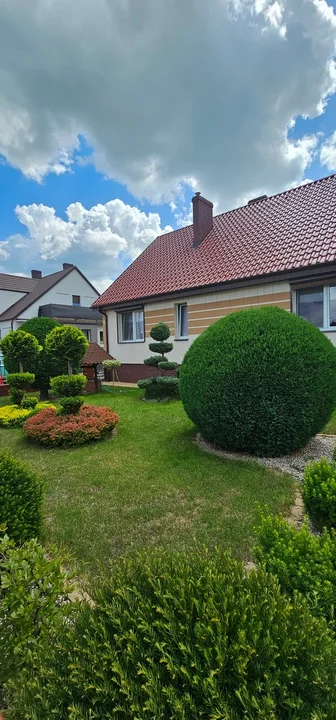 Konkurs "Najpiękniejszy ogród i działka powiatu gostyńskiego" - prezentujemy ogród Piotra Kędzi z Borku Wlkp. - Zdjęcie główne