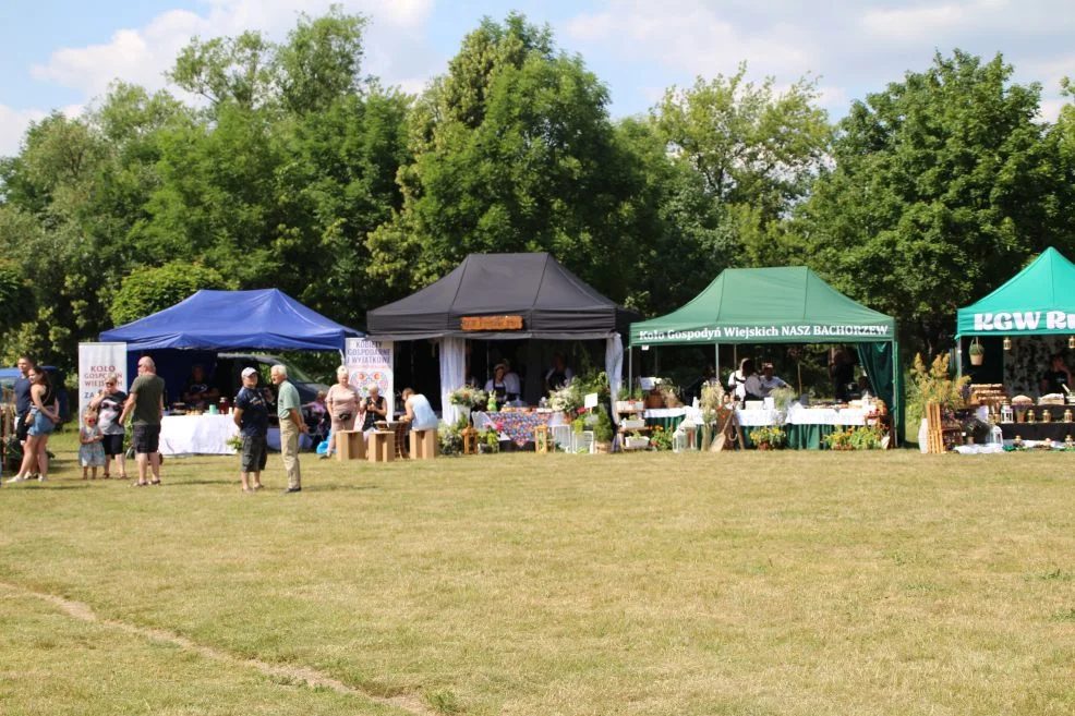 Piknik "Powitanie lata - z kulturą razem" i "Bitwa Regionów" w Kotlinie