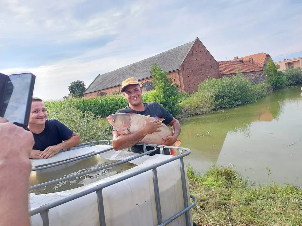 Rewitalizacja stawów w Strzelcach Wielkich i Strzelcach Małych