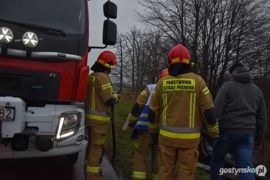 Mustang wpadł do stawu. Straż pożarna z Gostynia w akcji