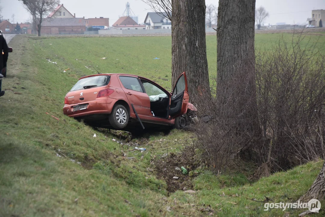 Wypadek samochodowy na drodze Strzelce Wielkie - Lipia (droga Piaski - Pogorzela)