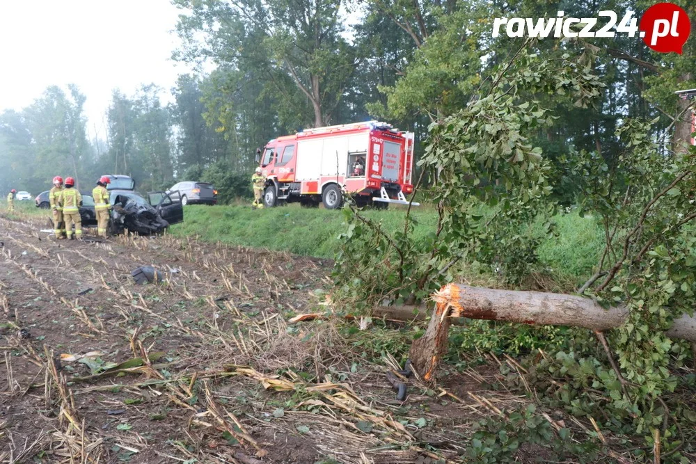 Uderzył w drzewo na trasie Annopol - Jagodnia