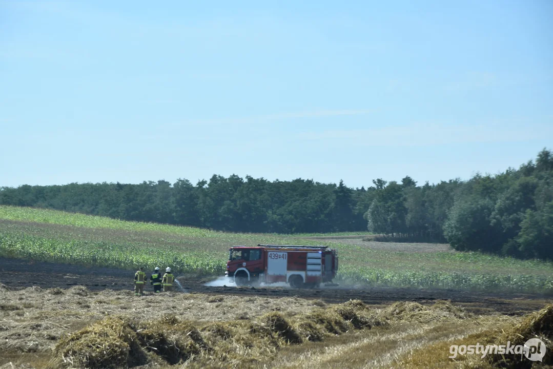 Pożar zboża w Osowie (gm. Gostyń)