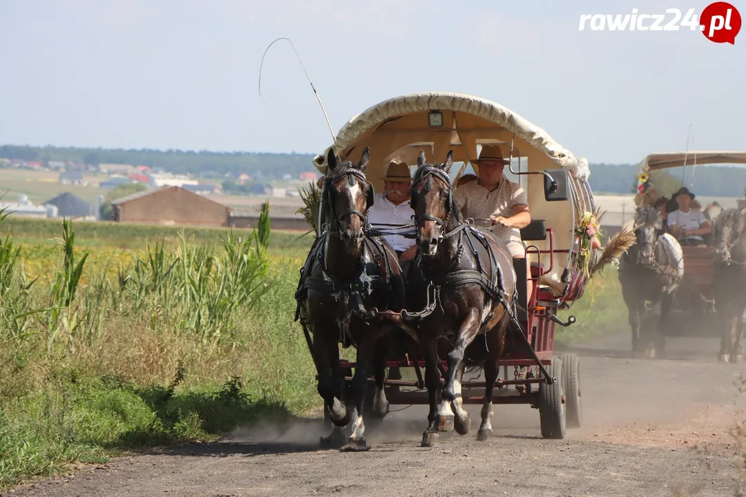 Rajd Konny Śladami Rodziny Czartoryskich