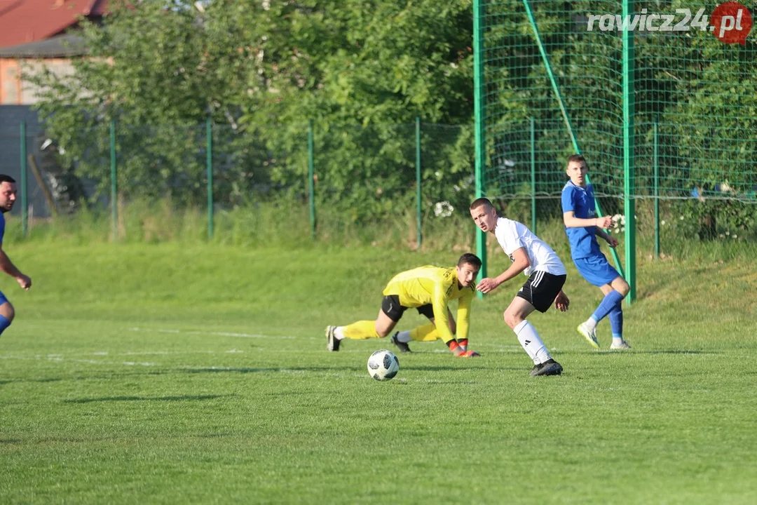 Awdaniec - Sarnowianka 1:3