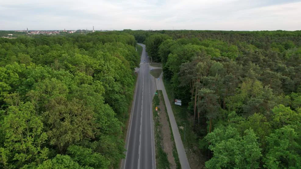 Kolejne potrącenie na przejściu dla pieszych przy ul. Poznańskiej w Jarocinie