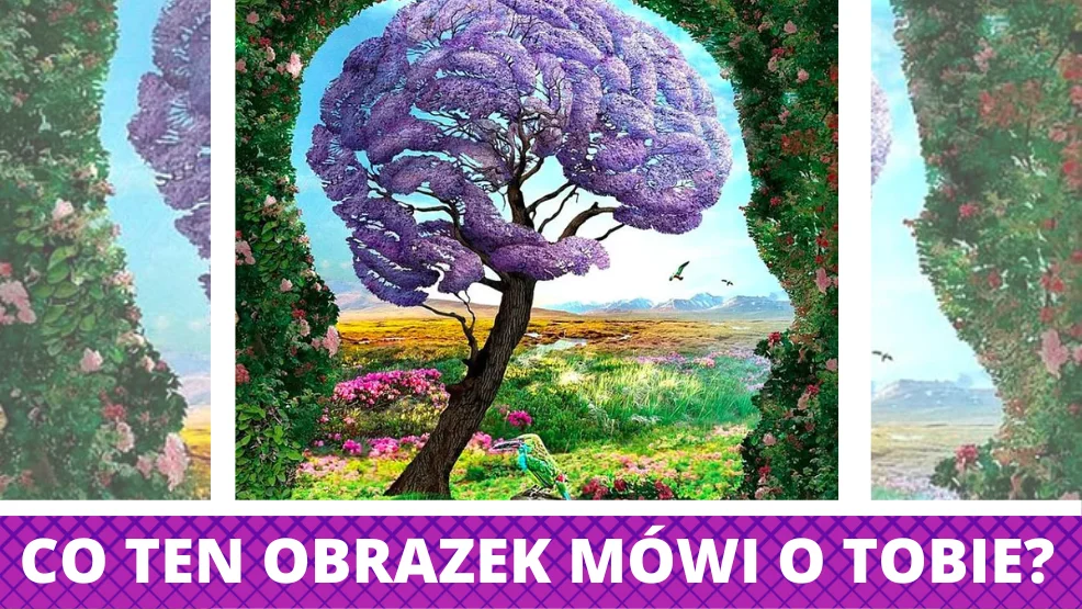 Co widzisz na zdjęciu? Test obrazkowy, który powie Ci kim jesteś [SPRAWDŹ] - Zdjęcie główne