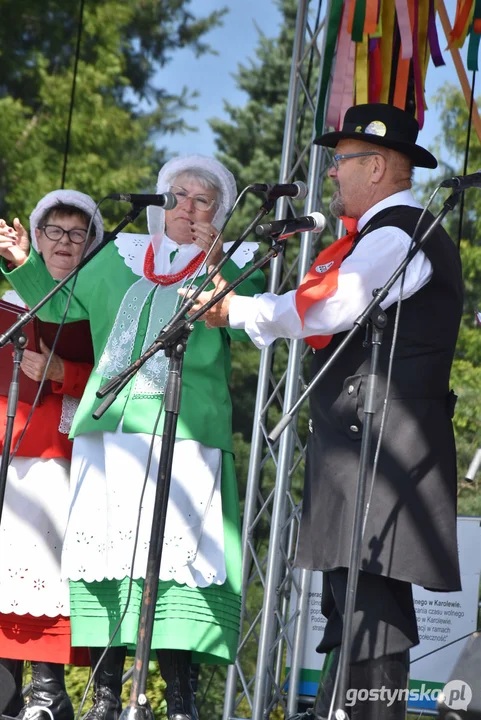 Jubileuszowy Przegląd Zespołów Ludowych w Borku Wlkp. wraz z wystawą samochodów retro 2022