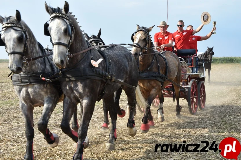 Zawody w powożeniu zaprzęgami konnymi w Niemarzynie [ZDJĘCIA] - Zdjęcie główne