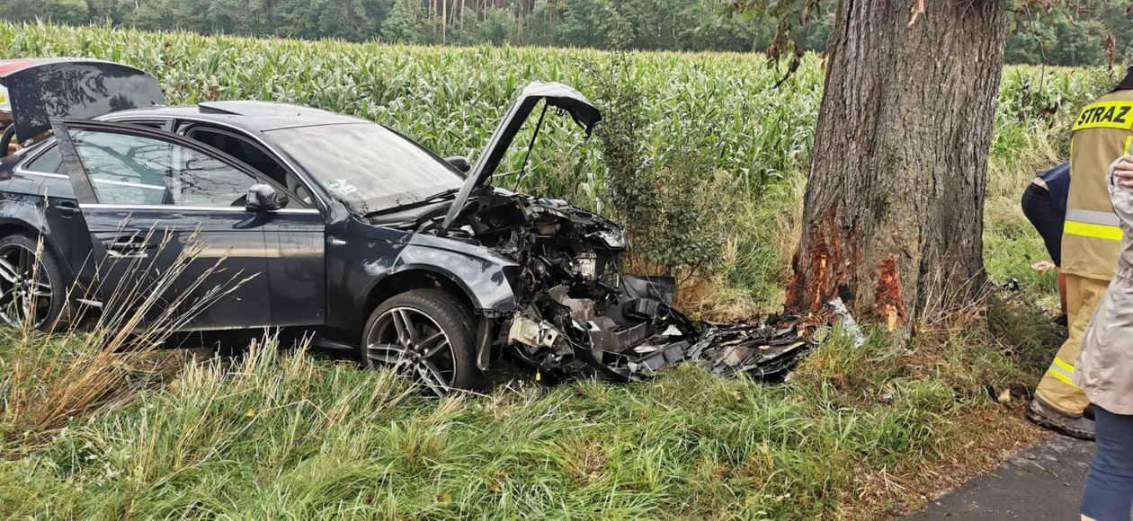 Zderzenie samochodu osobowego z drzewem na trasie Skoraszewice - Wilkonice