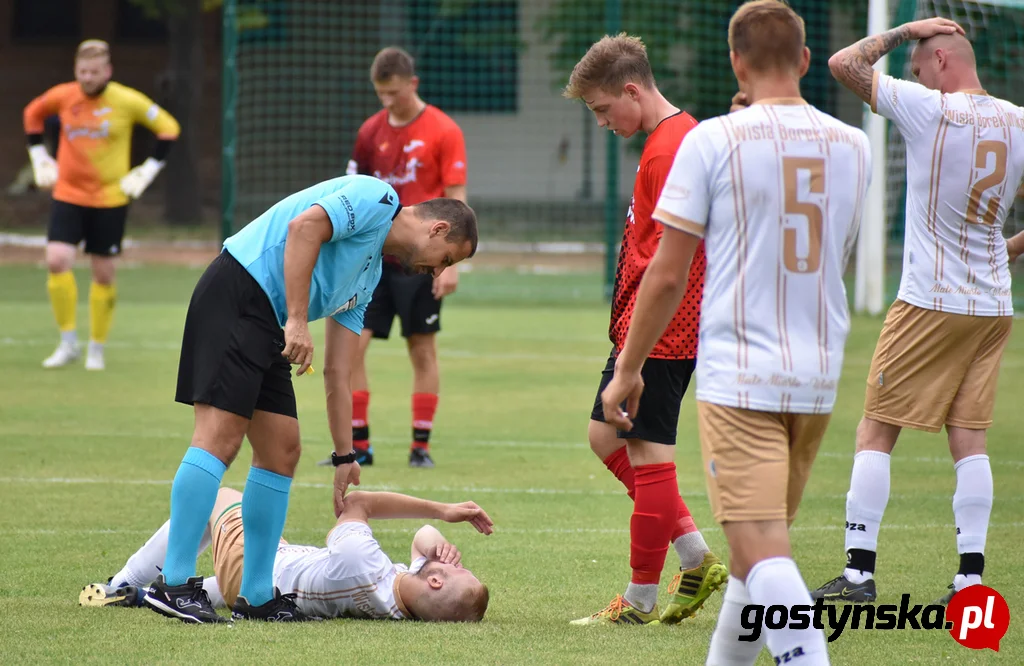 Wisła Borek Wielkopolski - Lider Swarzędz 2 : 0