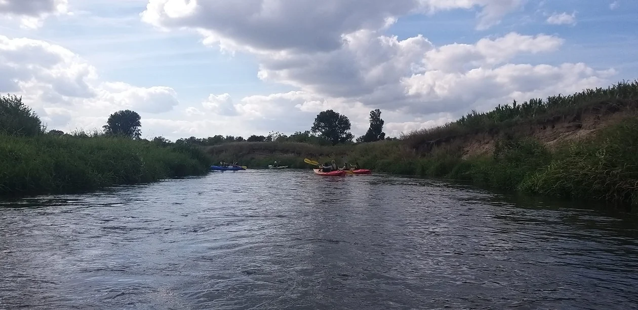 Spływy kajakowe Prosną