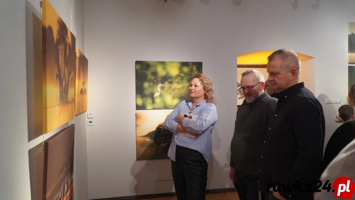 „Światłem malowane”: Magia Doliny Baryczy w obiektywie debiutanta. Niezwykła wystawa w Rawiczu - Zdjęcie główne