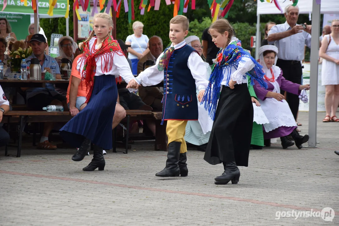 18. Prezentacje Zespołów Ludowych Wielkopolski w Borku Wlkp.