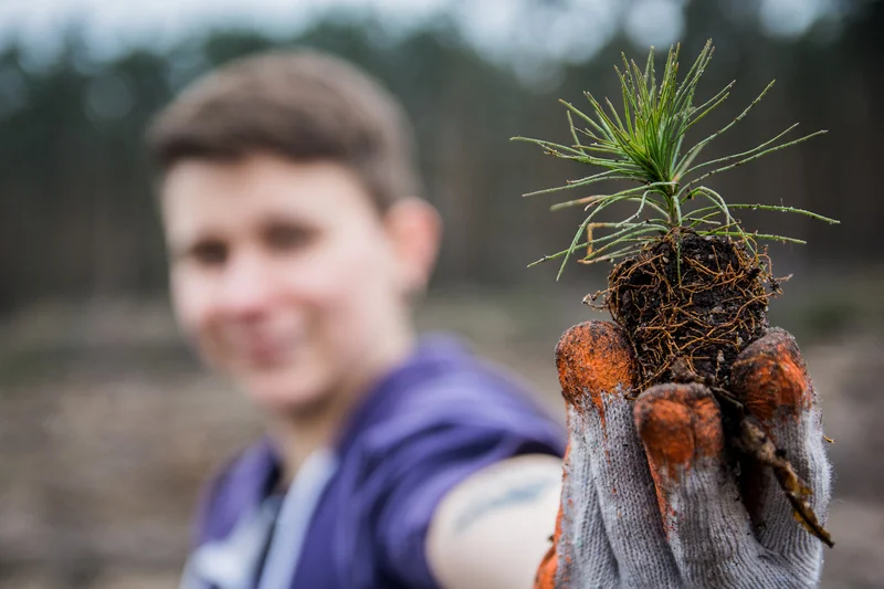 Dziennikarze jarocinska.pl i wolontariusze Fundacji Ogród Marzeń sadzili las w Roszkowie