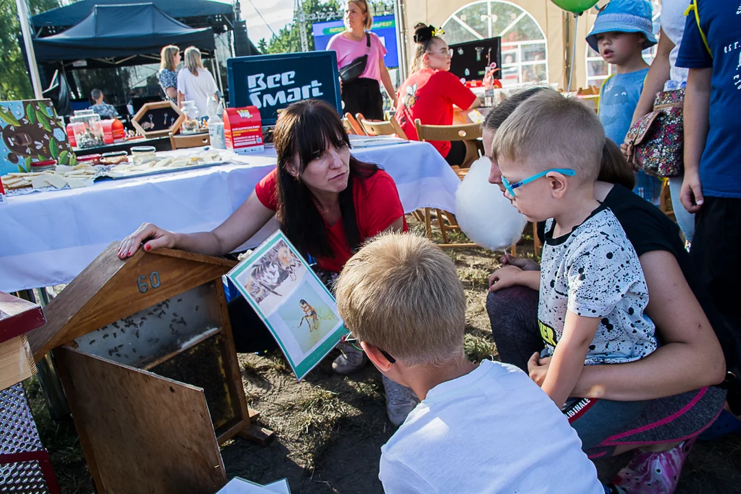 Krotoszyn. KrotoFEST i Więc Wiec