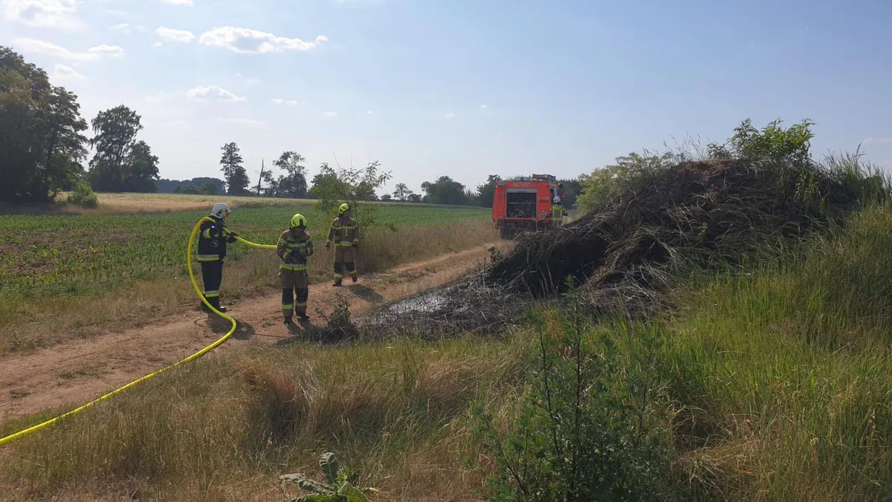 Pożar trawy w Kuźni