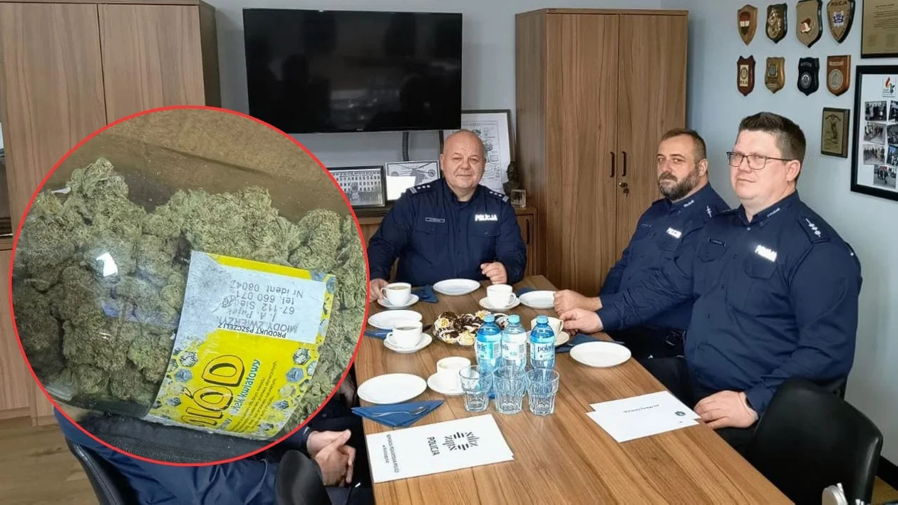 Nielegalne substancje na działkach w Krotoszynie. Policjantów naprowadził charakterystyczny zapach